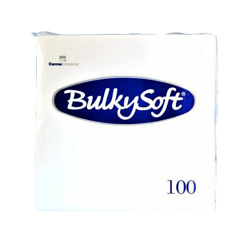Sacs à serviettes en papier (100 pces)