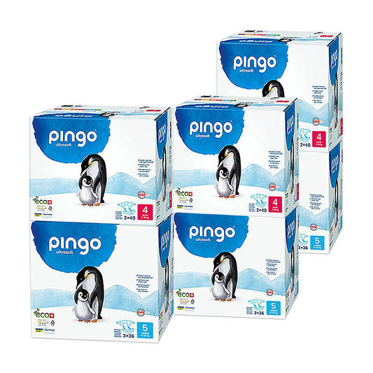 Pingo PRIX SPÉCIAL (3 x MAXI T4 & 3 x JUNIOR T5)